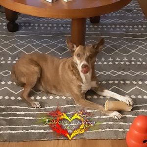 Meet your Posher, Lyta